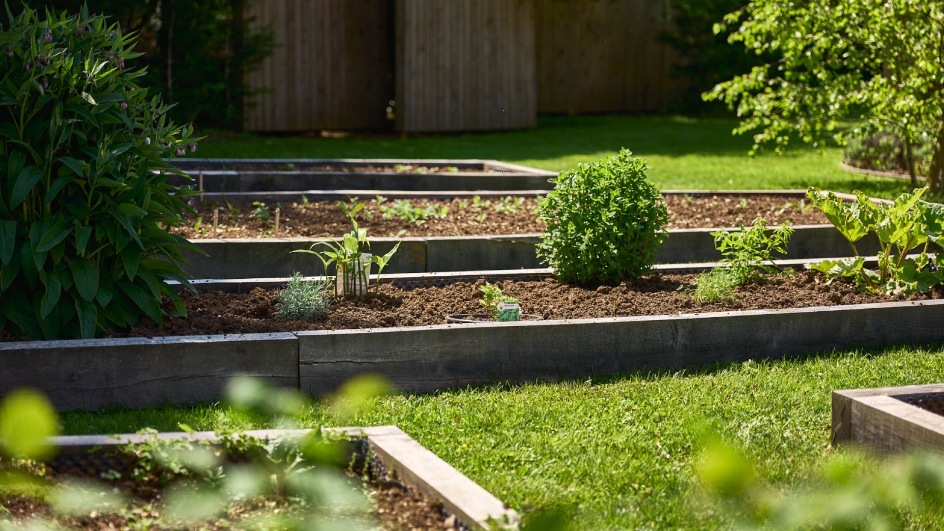 potager maison zugno